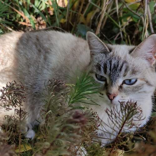 Photo #12701692