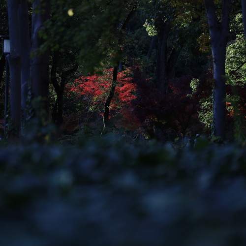 Photo #12701774