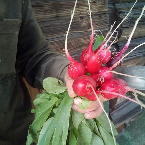 Photo #12701851