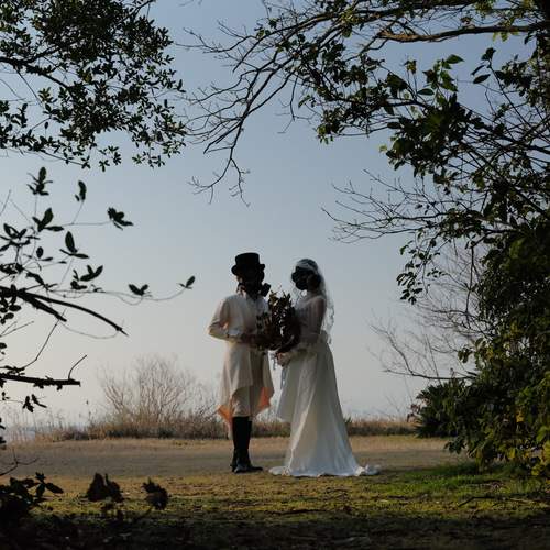 Photo #12701881
