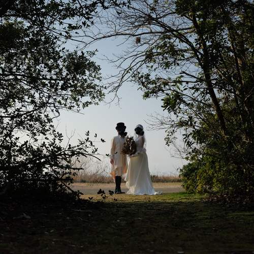 Photo #12701882