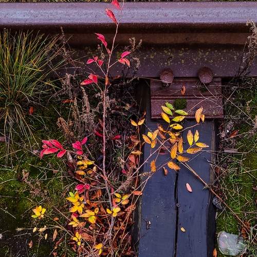 Photo #12701921