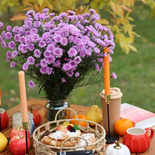 Фотография #12701950