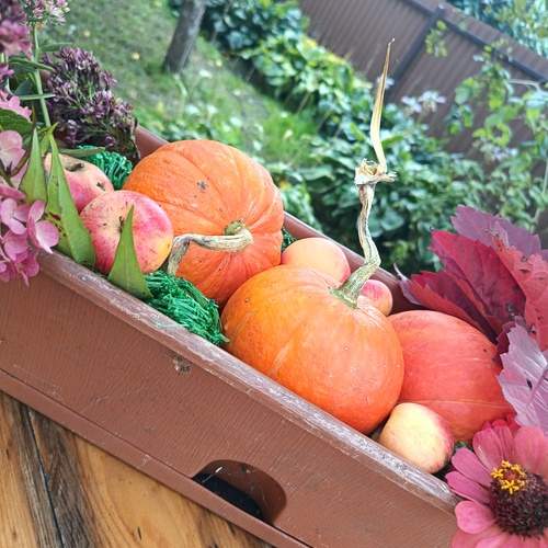 Photo #12701953