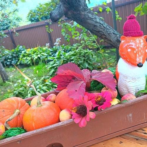 Photo #12701972