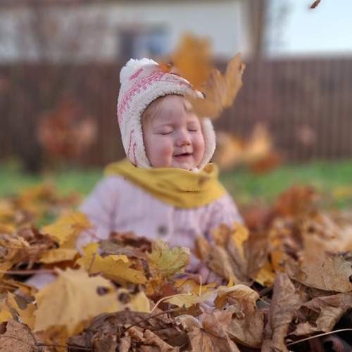 Photo #12702060