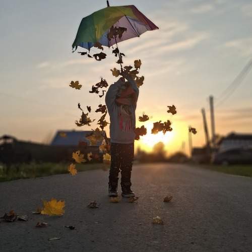 Photo #12702061