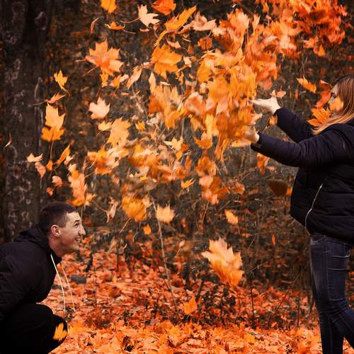 Photo #12702199