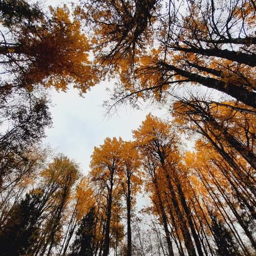 Photo #12702393