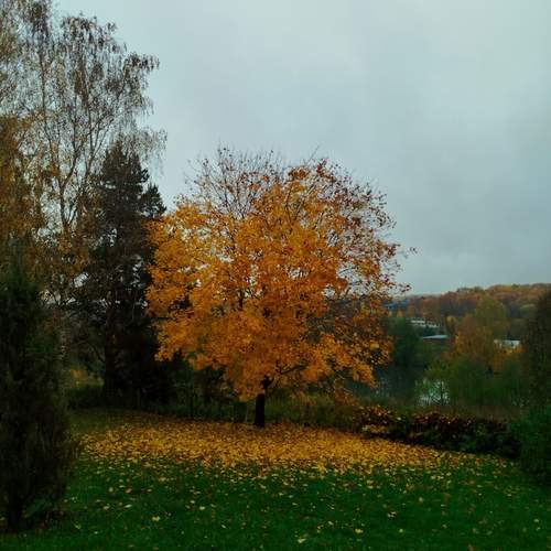Photo #12702466