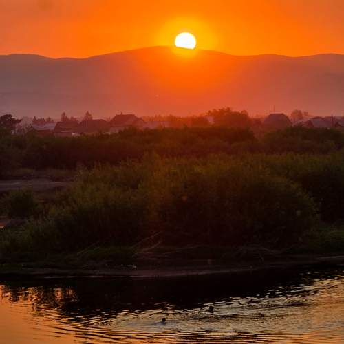 Photo #12702741
