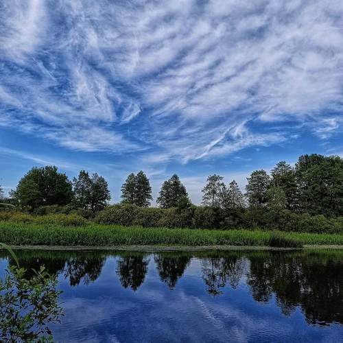 Photo #12703999