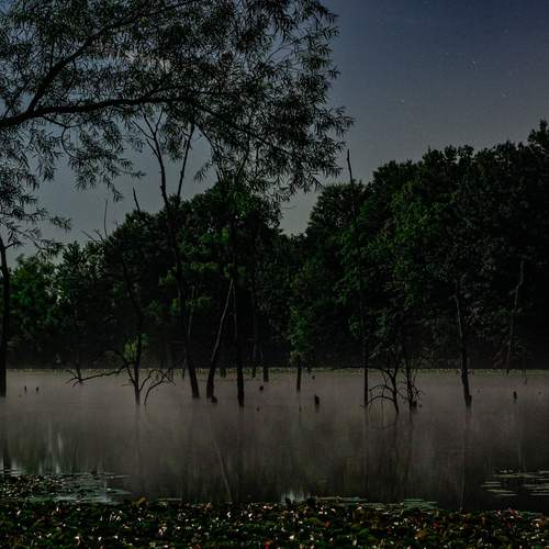 Photo #12704187
