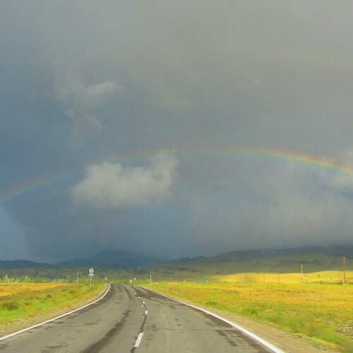 Photo #12704450