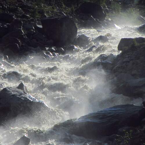 Photo #12704451