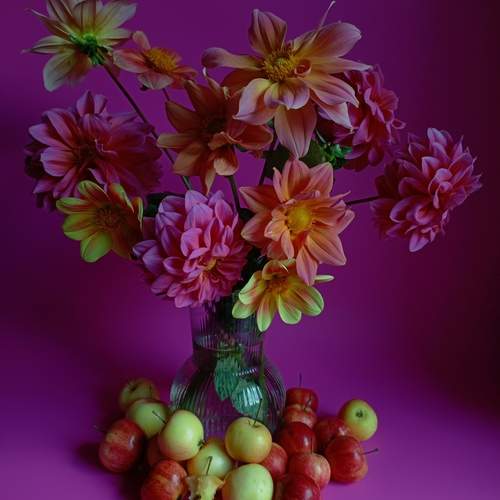 Photo #12704494