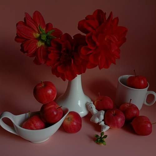 Photo #12704544