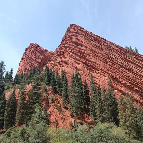 Photo #12704704