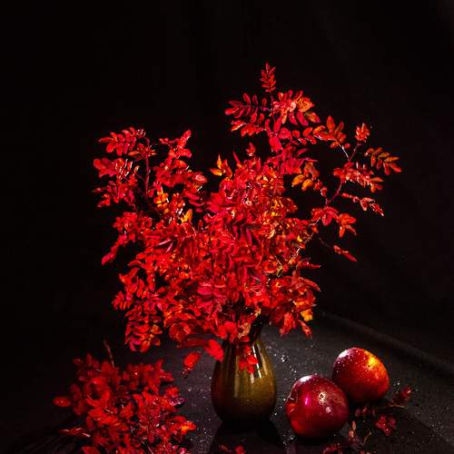 Photo #12704890