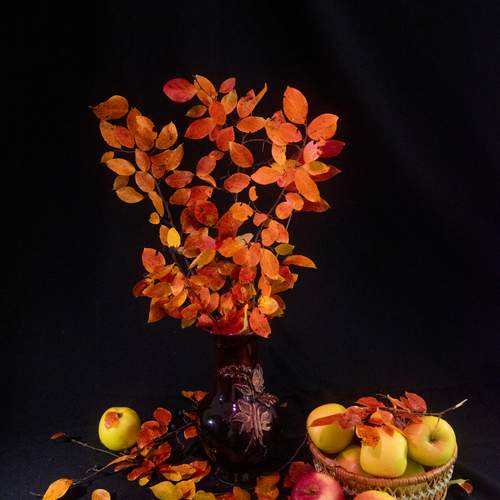 Photo #12704891