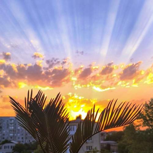 Photo #12704987