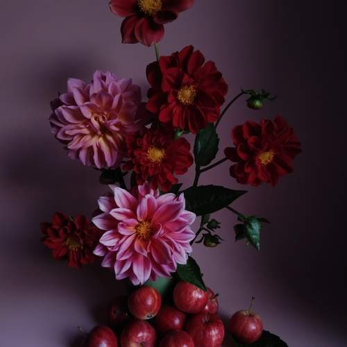 Photo #12705024