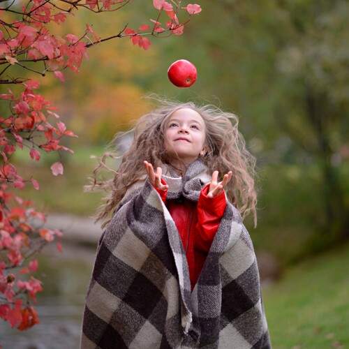Photo #12705235