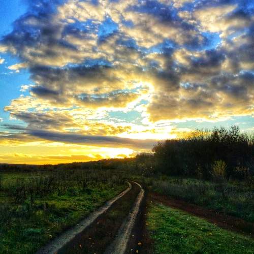 Photo #12705256