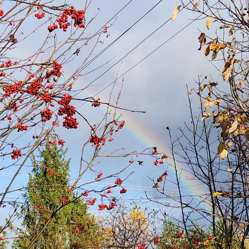 Photo #12705280