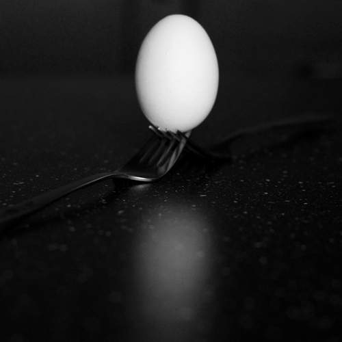 Фотография #12705405