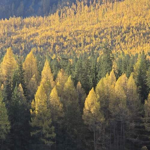 Photo #12705464