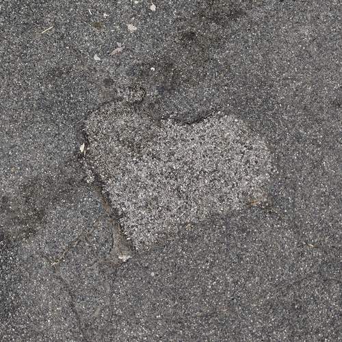 Photo #12705693