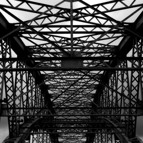 Photo #12705706