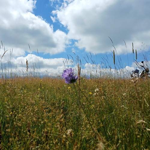 Photo #12705739