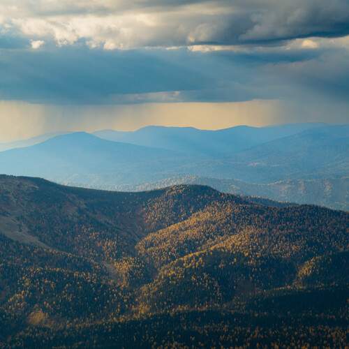 Photo #12705780