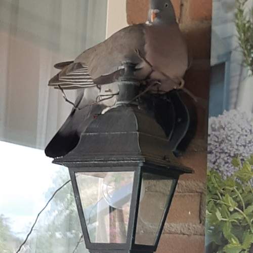 Photo #12705881