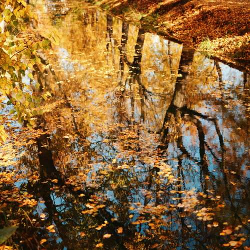 Photo #12705896