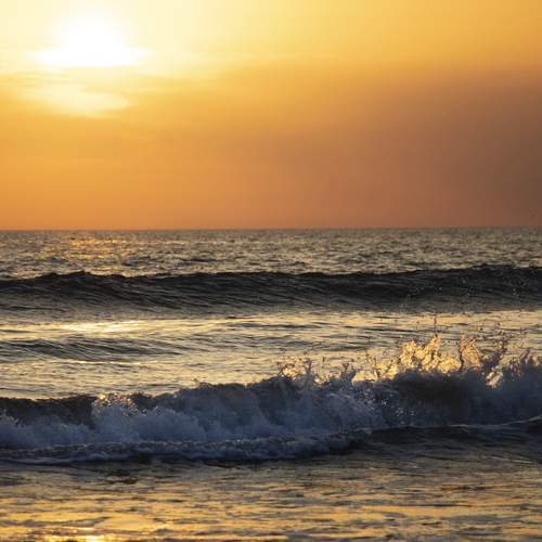 Photo #12706051