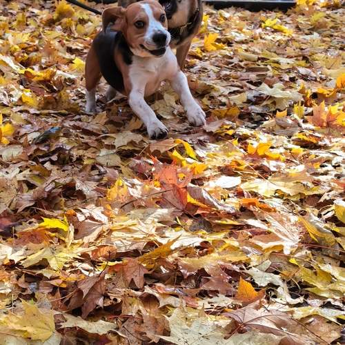 Photo #12706142