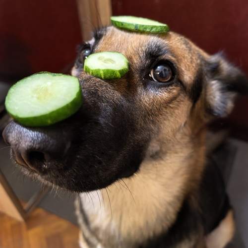 Photo #12706156