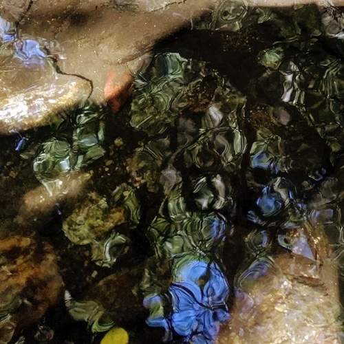 Photo #12706166