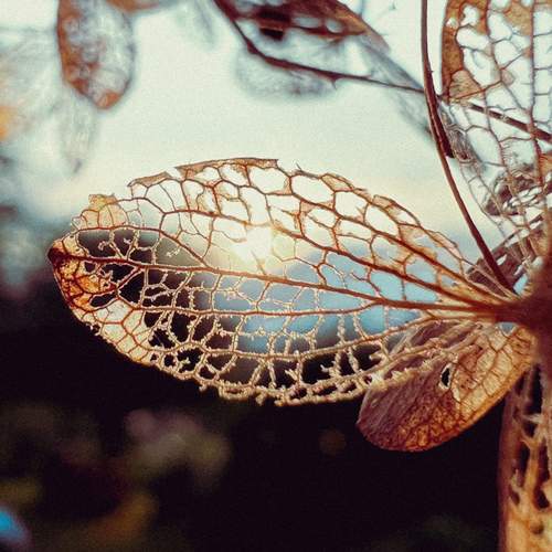 Photo #12706226