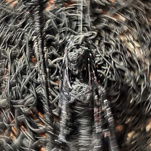 Photo #12706271