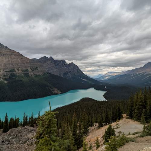 Peyto Lake