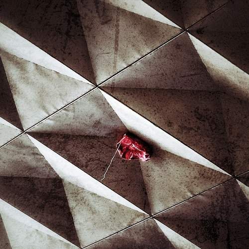 Фотография #12706424