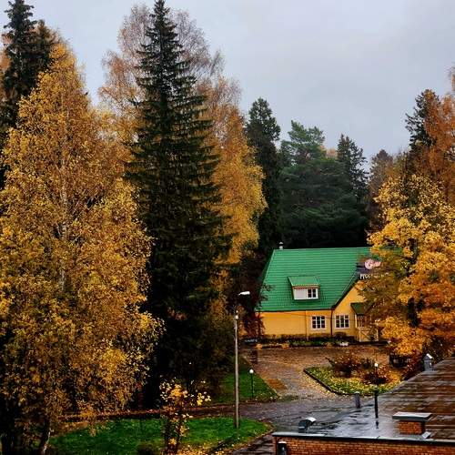 Photo #12706602