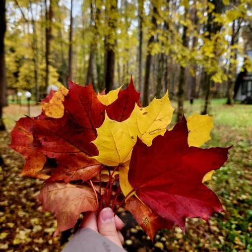 Photo #12706638