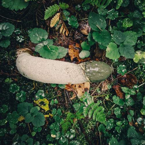 Photo #12706697