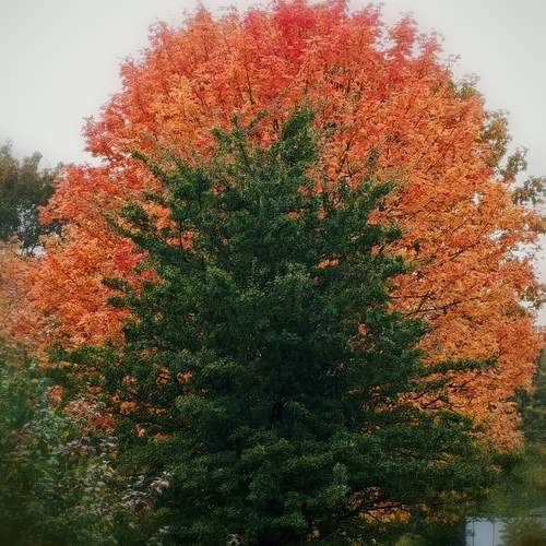 Photo #12706743