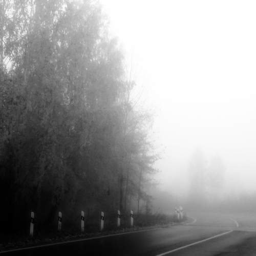 Фотография #12706757